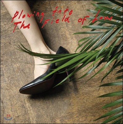 Iceage — Plowing Into Field Of Love 앨범 커버