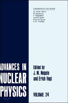 Advances in Nuclear Physics: Volume 26