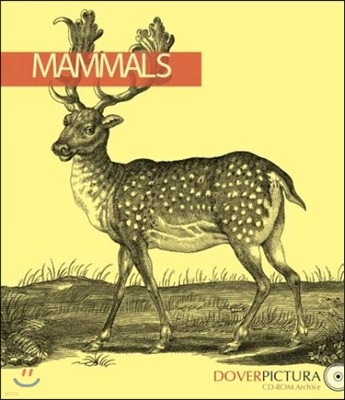 Mammals