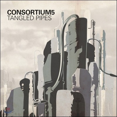 Consortium5 ڴ 5ָ  ǰ (TanglePipes)