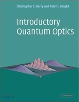 Introductory Quantum Optics