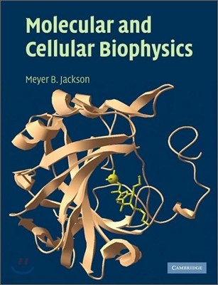 Molecular and Cellular Biophysics