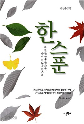 한스푼