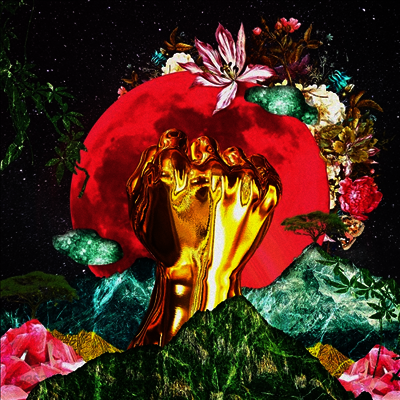Rina Mushonga - In A Galaxy (LP)