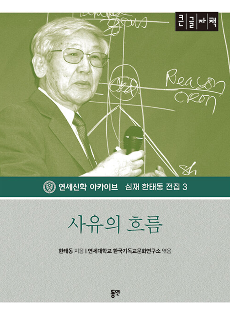 사유의 흐름  (큰글자책)