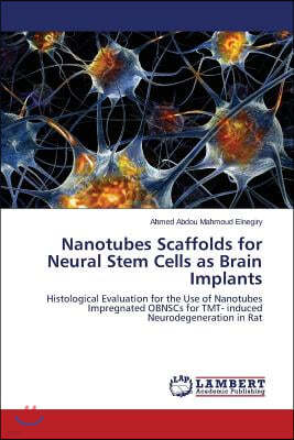 Nanotubes Scaffolds for Neural Stem Cells as Brain Implants