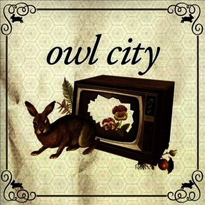 Owl City — Fire Flies/Vanilla Twilight (Owl City Record Store Day) (7" Single) 앨범 커버