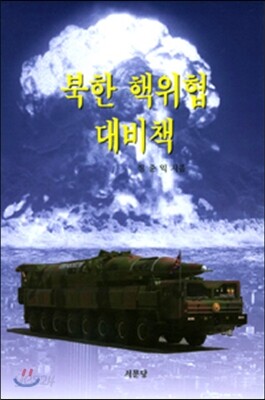 북한 핵위협 대비책