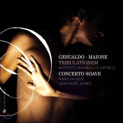 Concerto Soave ' ' - ˵ / ̿: Ʈ, 帮, īġ (Tribulationem - Gesualdo / Maione: Motets, Madrigal, Capriccio)