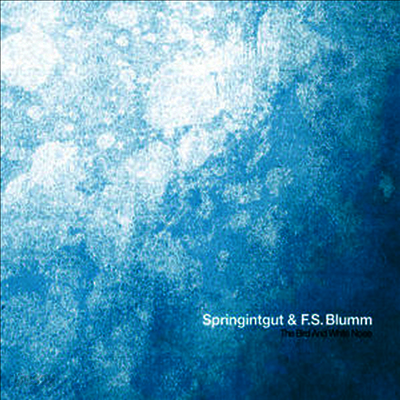 Springintgut / F.S. Blumm - Bird & White Noise (LP)