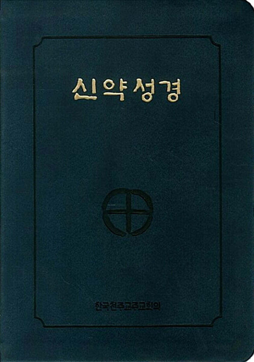 신약성경 NB6-AH - 46판.전단.금장색인