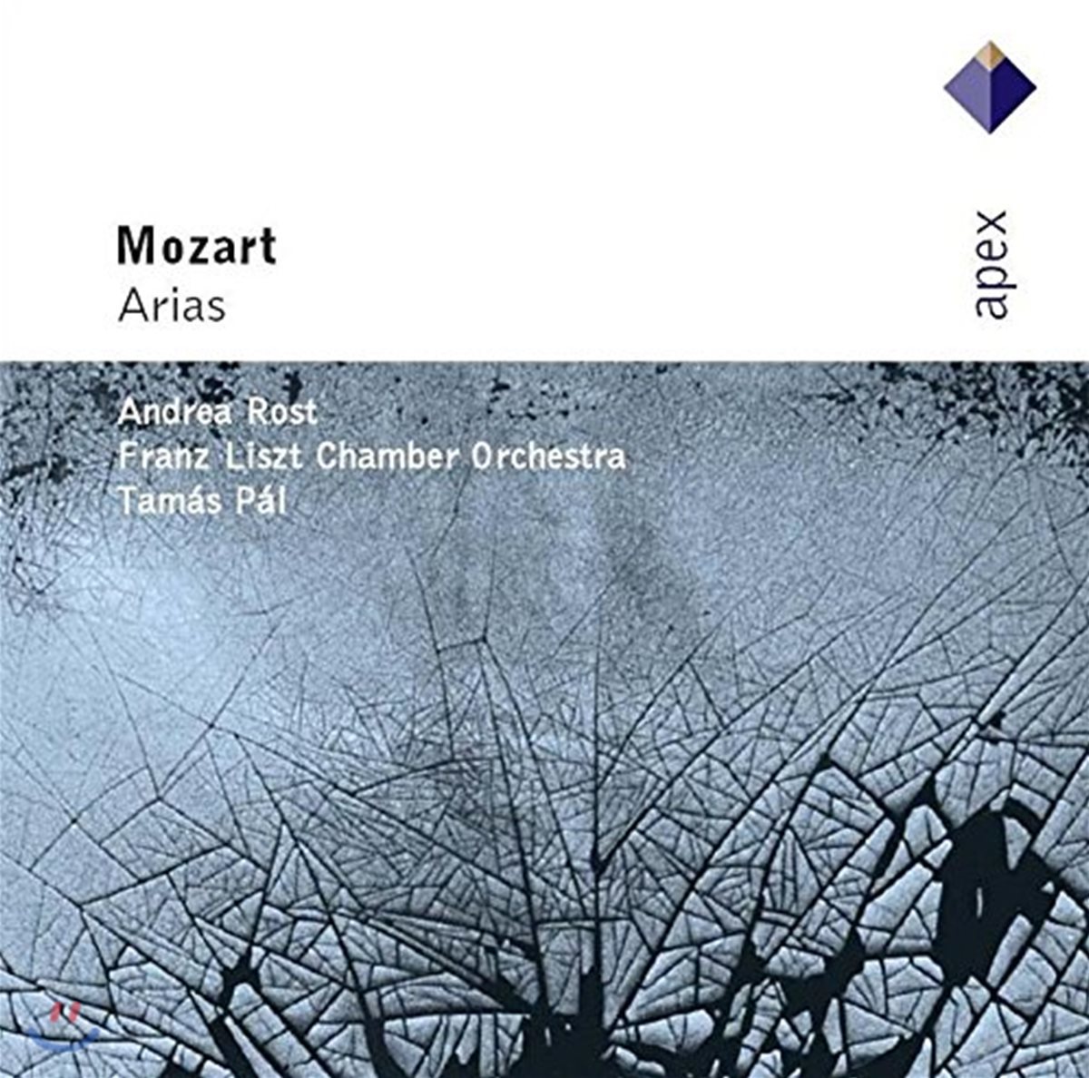 Andrea Rost 모차르트: 아리아 모음집 - '피가로의 결혼', '돈 조바니' (Mozart: Arias - Le nozze di Figaro, Don Giovanni)