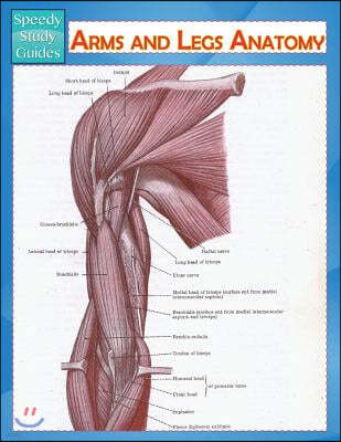 Arms and Legs Anatomy (Speedy Study Guide)