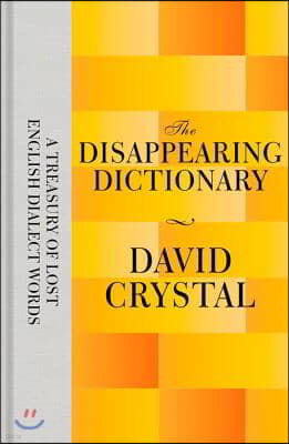 Disappearing Dictionary