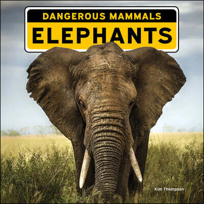 Norwood House Press Elephants