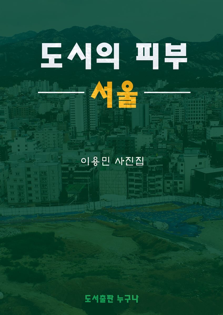 도시의 피부 서울