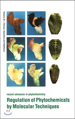 Regulation of Phytochemicals by Molecular Techniques: Volume 35