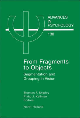 From Fragments to Objects: Segmentation and Grouping in Vision Volume 130