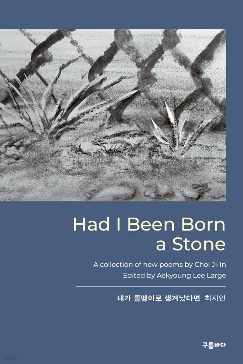 Had I Been Born a Stone : 내가 돌멩이로 생겨났다면