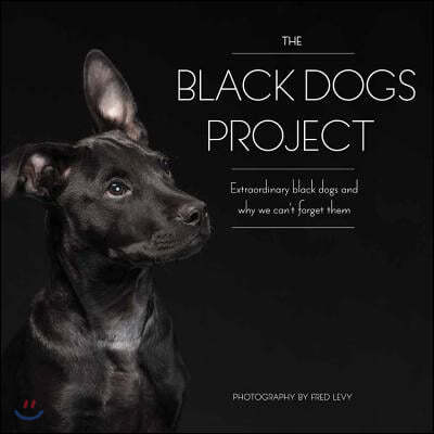 The Black Dogs Project