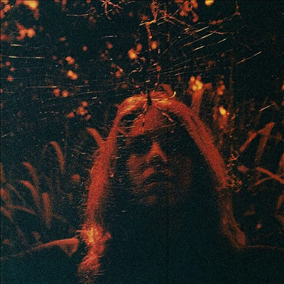 Turnover — Peripheral Vision 앨범 커버