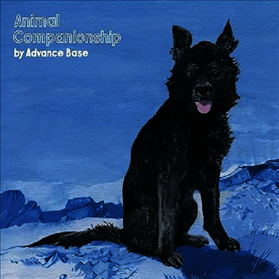 Avance Base — Animal Companionship 앨범 커버