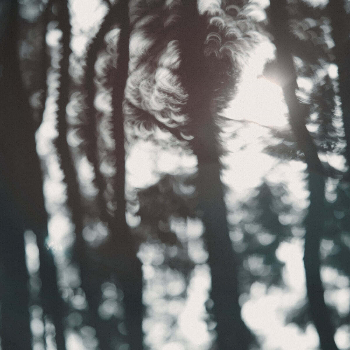 NOVASIA (노바시아) - 1집 NOVASIA