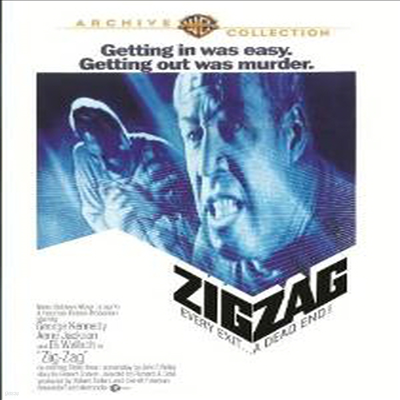 Zig Zag (지그 재그)(지역코드1)(한글무자막)(DVD)(DVD-R)