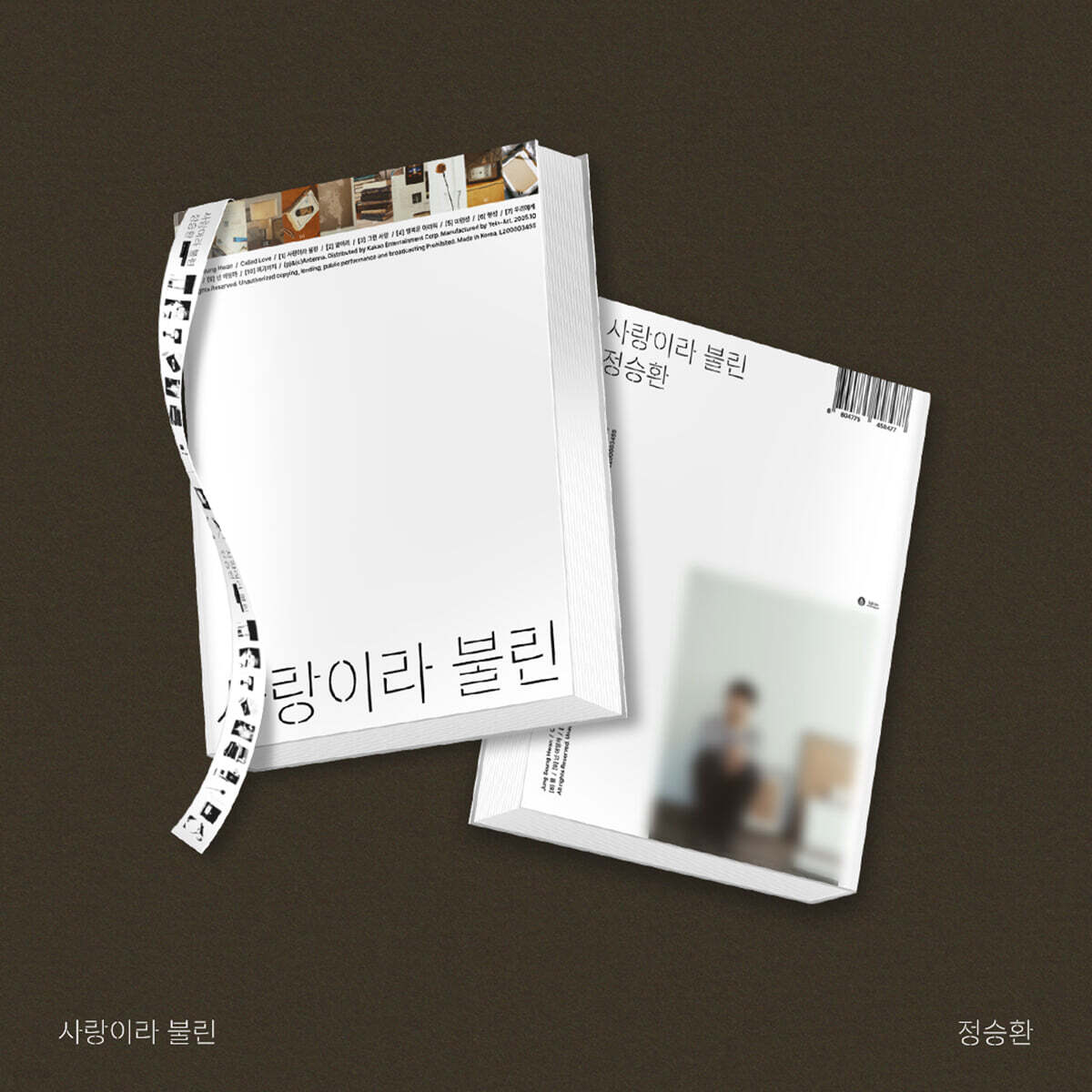 정승환 - 사랑이라 불린