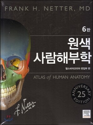원색 사람 해부학