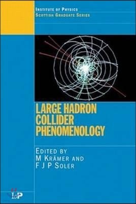 Large Hadron Collider Phenomenology