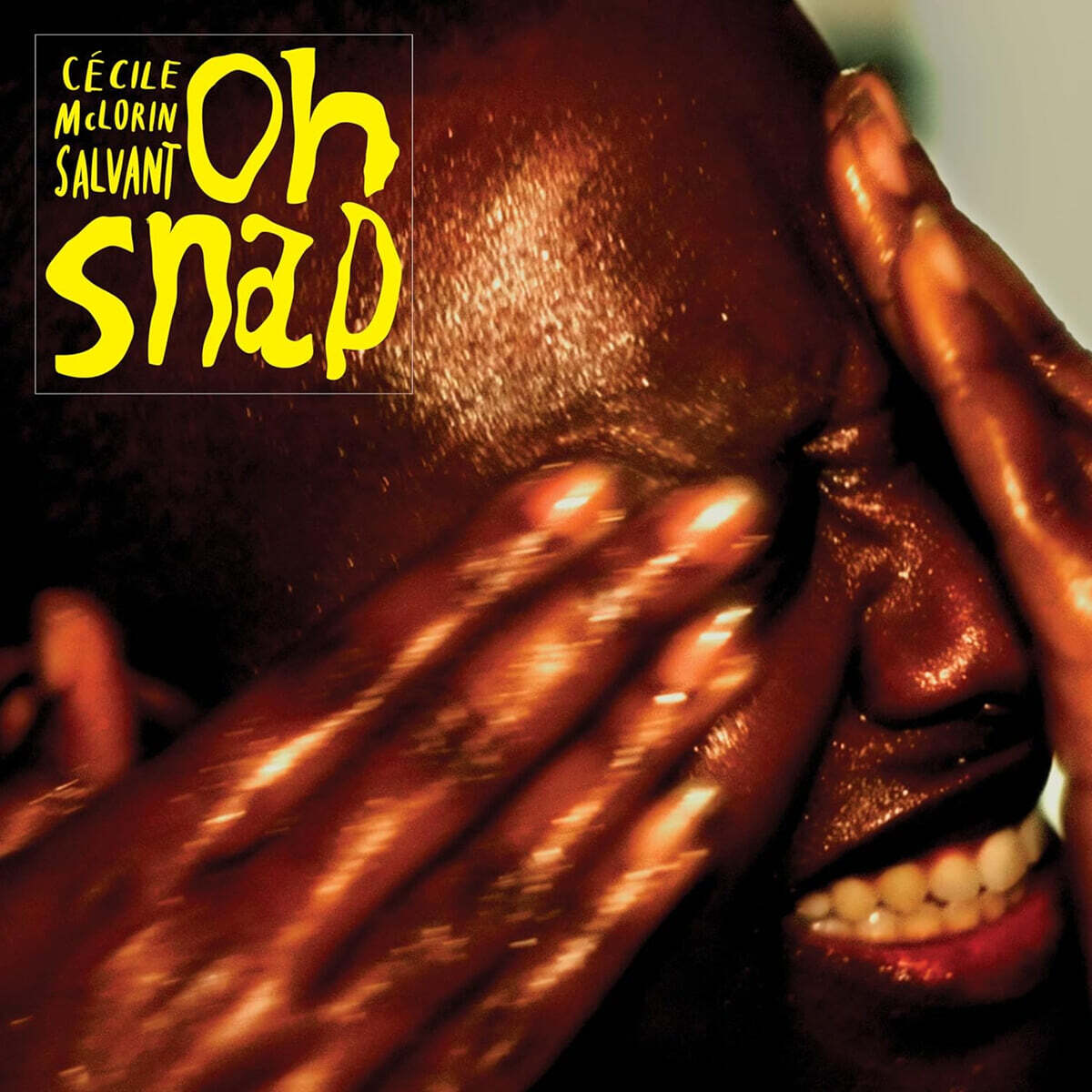 Cecile McLorin Salvant (세실 맥로린 살반트) - Oh Snap
