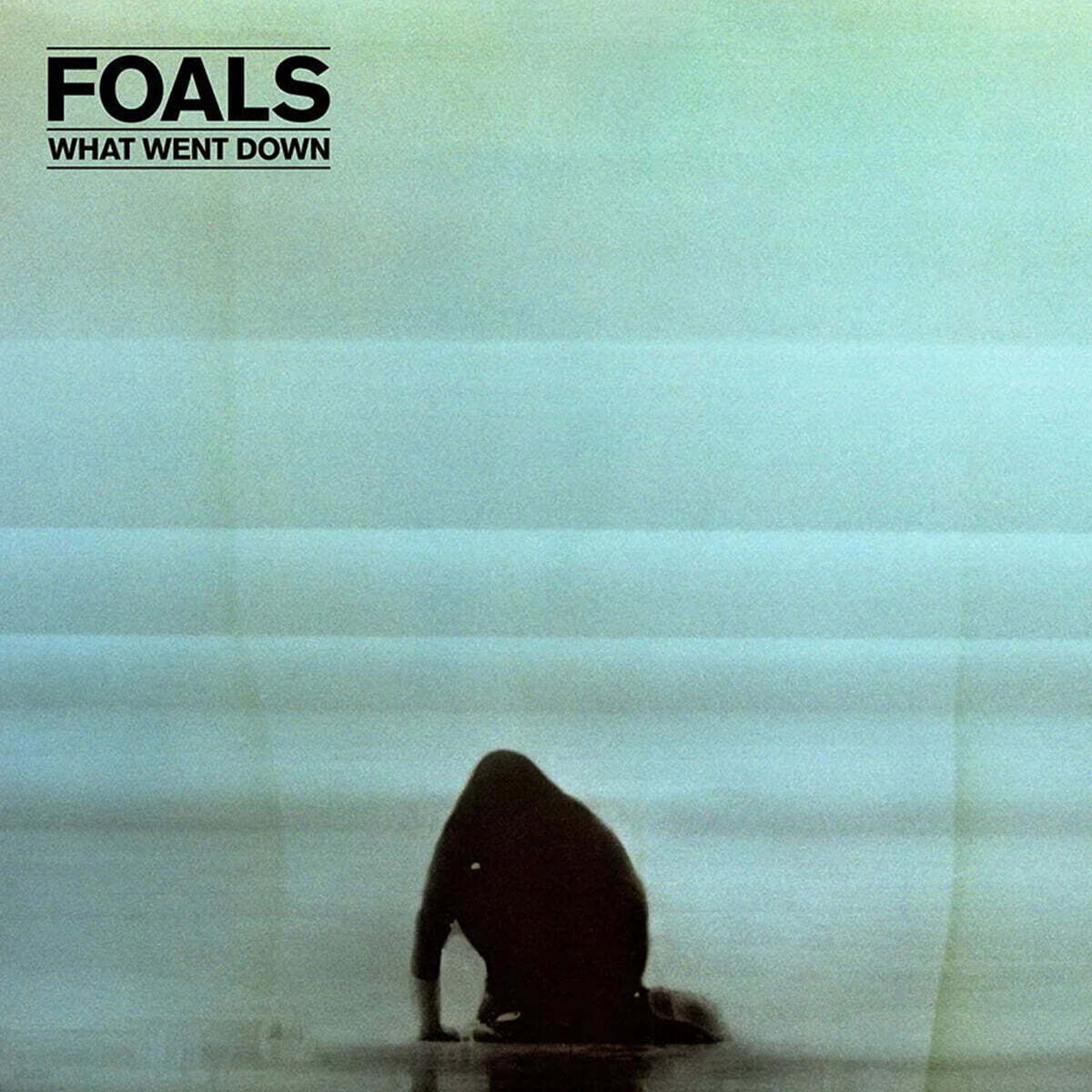 Foals (폴즈) - What Went Down [클리어 & 블랙 컬러 LP]
