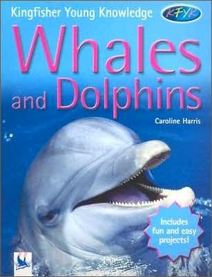 Whales And Dolphins