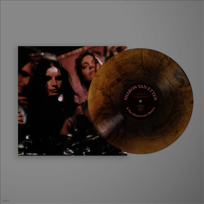 Sharon Van Etten — Sharon Van Etten & The Attachment Theory 앨범 커버