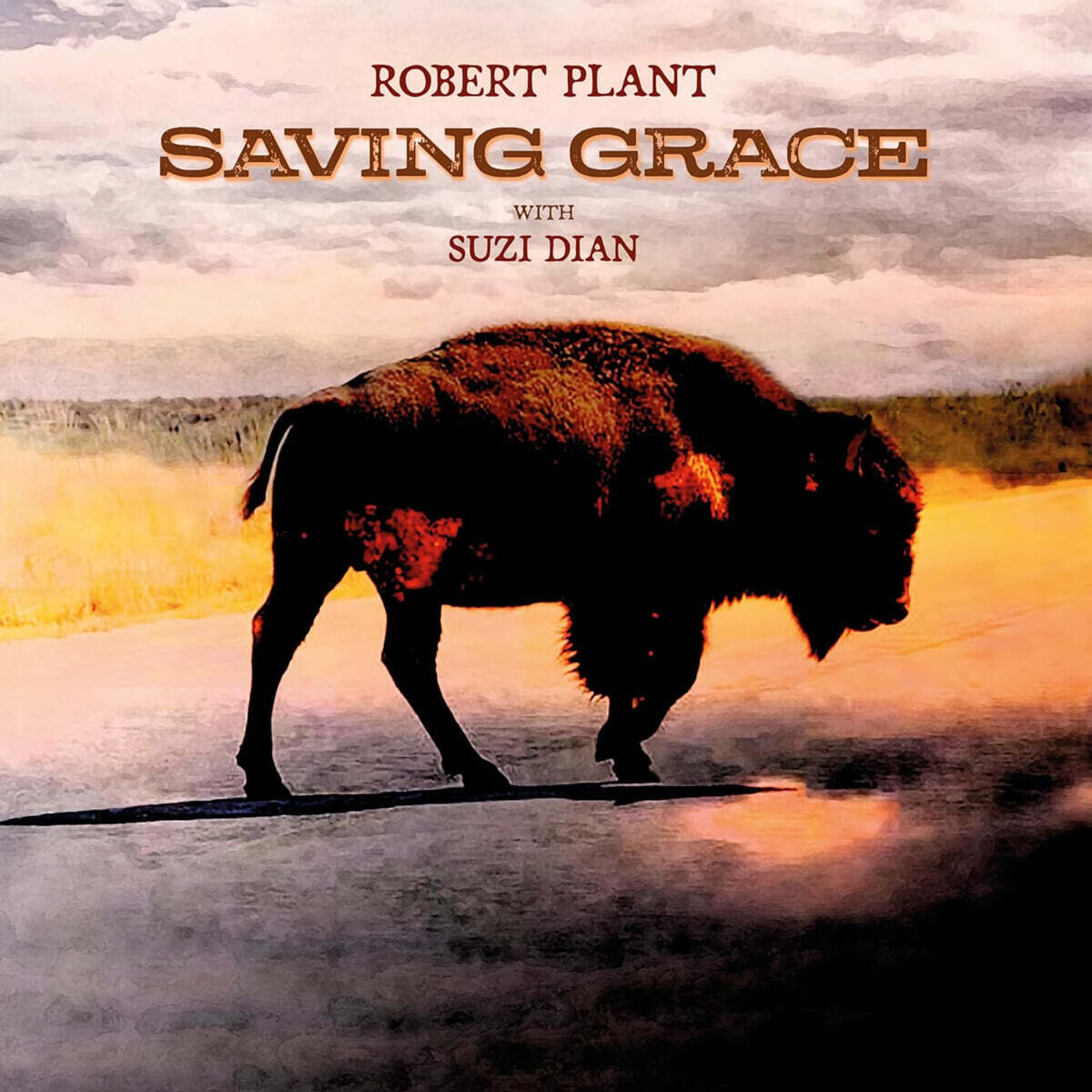 Robert Plant (로버트 플랜트) - Saving Grace