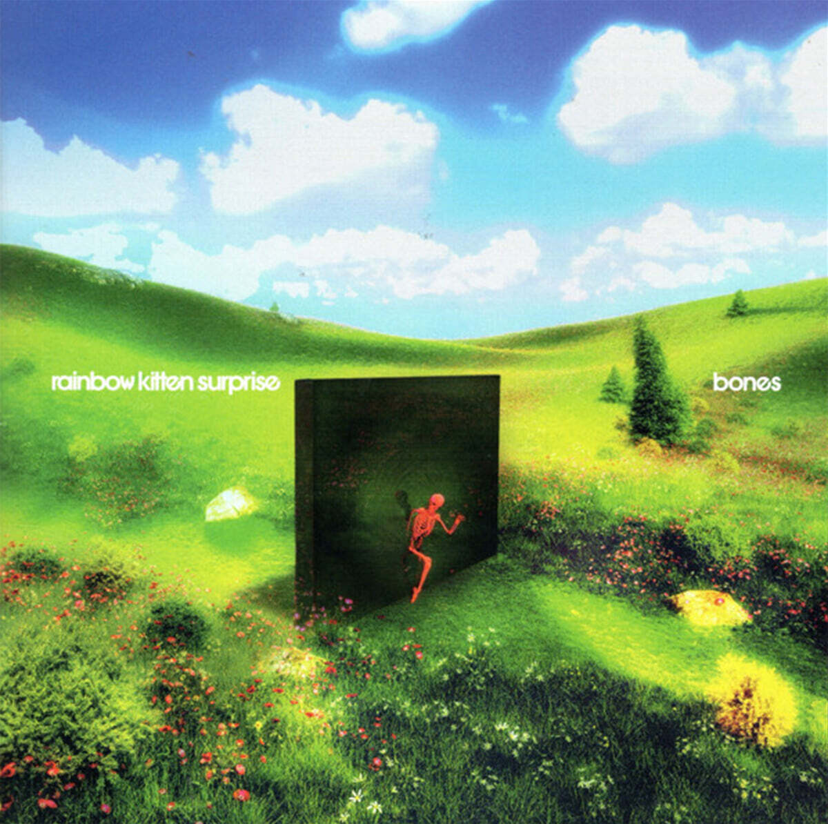 Rainbow Kitten Surprise (레인보우 키튼 서프라이즈) - bones