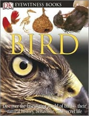 DK Eyewitness Books : Bird