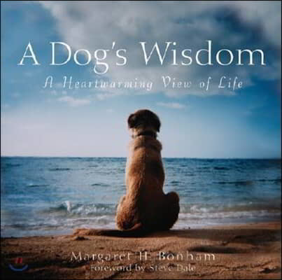 A Dog's Wisdom: A Heartwarming View of Life