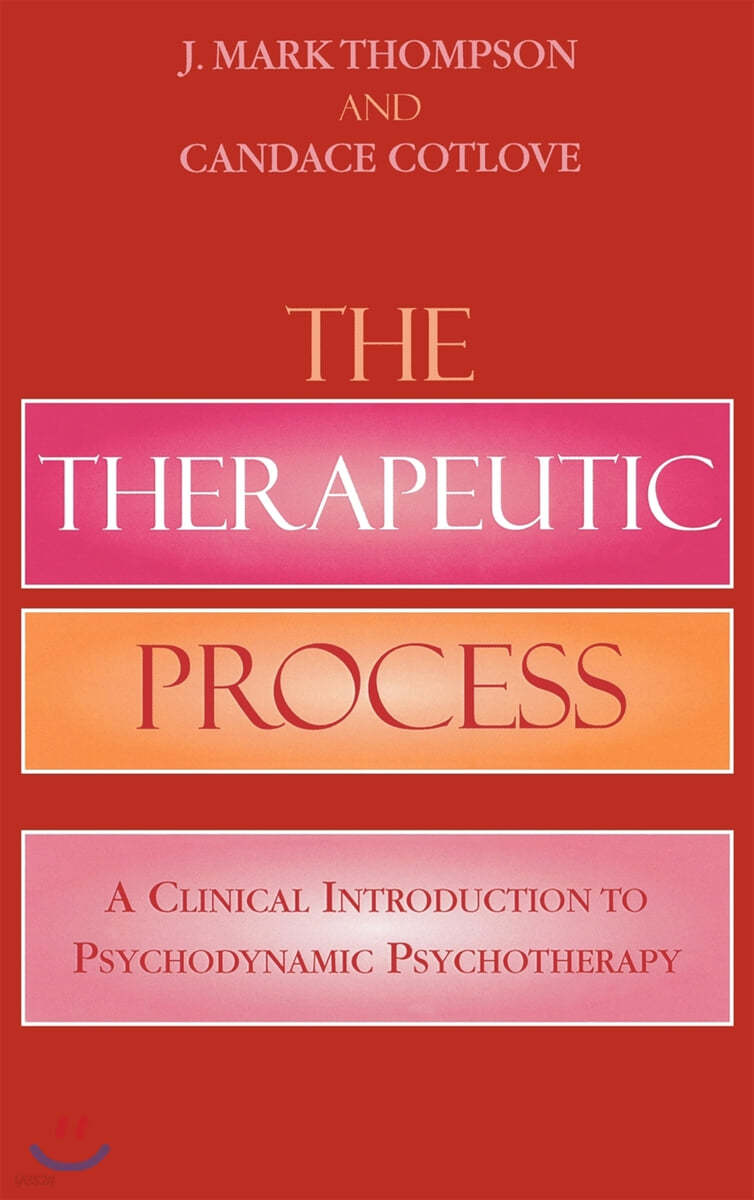 The Therapeutic Process: A Clinical Introduction to Psychodynamic Psychotherapy