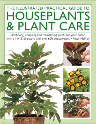 Anness Publishing The Illustrated Practical Guide to Houseplants & Plant Care