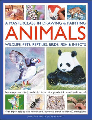 Anness Publishing A Masterclass in Drawing & Painting Animals (Wildlife, Pets, Reptiles, Birds, Fish & Insects)