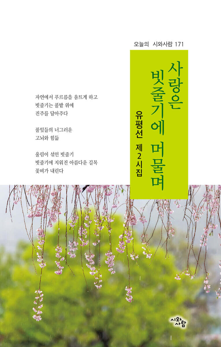 사랑은 빗줄기에 머물며