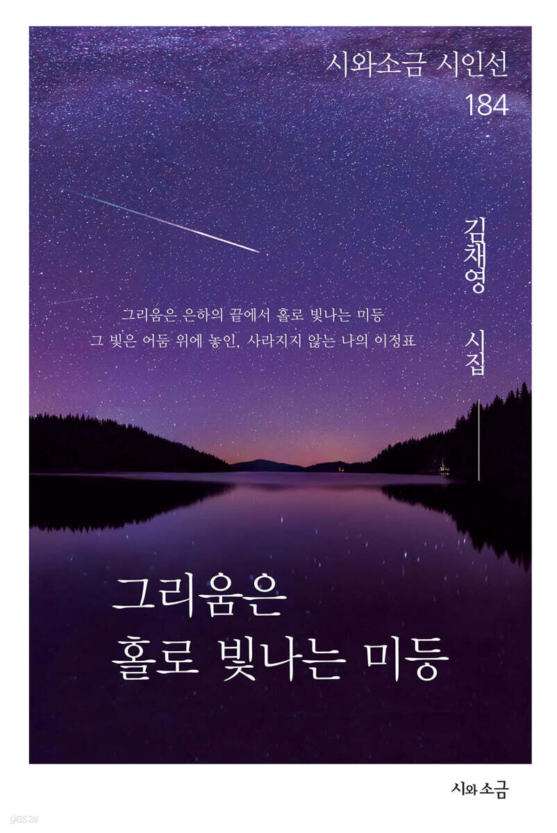 그리움은 홀로 빛나는 미등