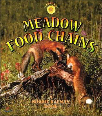 Meadow Food Chains