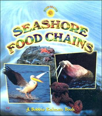 Seashore Food Chains