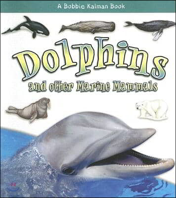 Dolphins and Other Marine Mammals