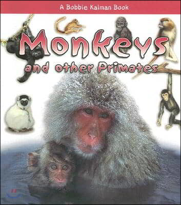 Monkeys and Other Primates