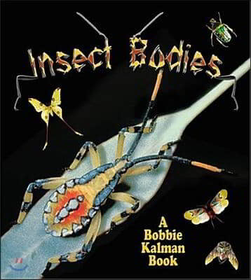 Insect Bodies