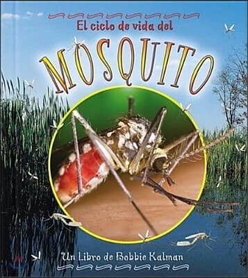 El Ciclo de Vida del Mosquito (the Life Cycle of a Mosquito) = Life Cycle of a Mosquito